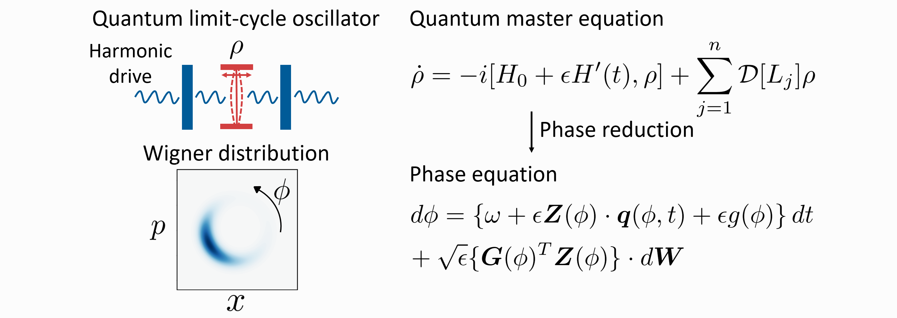Semiclassical phase reduction